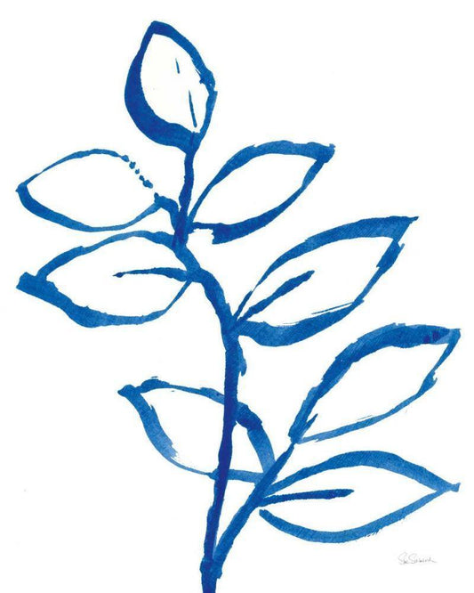 Image Only