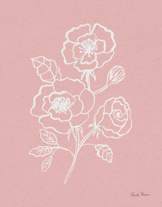 Image Only