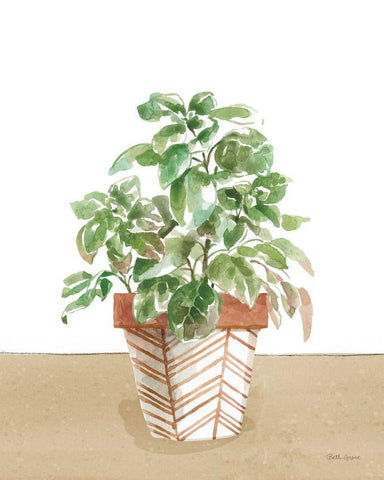 Herb Garden II White White Modern Wood Framed Art Print with Double Matting by Grove, Beth