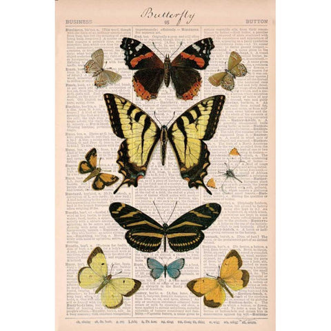 American Butterflies I Gold Ornate Wood Framed Art Print with Double Matting by Schlabach, Sue