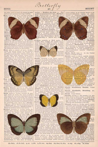 American Butterflies II White Modern Wood Framed Art Print with Double Matting by Schlabach, Sue