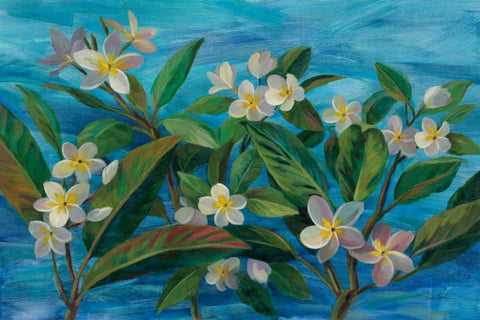 Oceanside Plumeria White Modern Wood Framed Art Print with Double Matting by Vassileva, Silvia