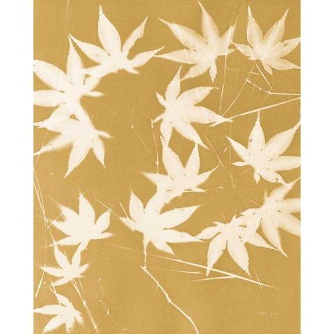 Enchanted Fall Cyanotype V Black Modern Wood Framed Art Print by Green, Nancy