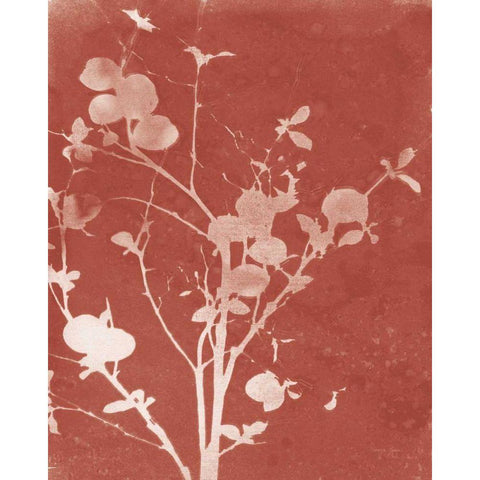 Enchanted Fall Cyanotype VI Gold Ornate Wood Framed Art Print with Double Matting by Green, Nancy