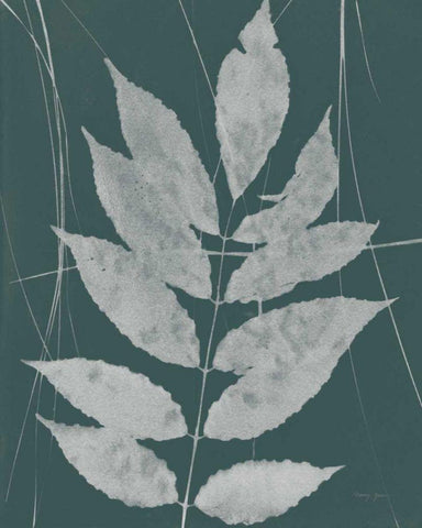 Enchanted Fall Cyanotype IX White Modern Wood Framed Art Print with Double Matting by Green, Nancy
