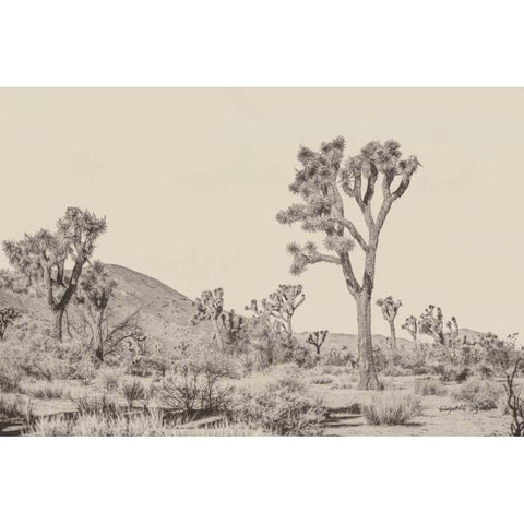 Joshua Tree II Neutral White Modern Wood Framed Art Print by Urquhart, Elizabeth