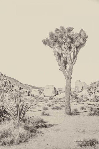 Joshua Tree III Neutral White Modern Wood Framed Art Print with Double Matting by Urquhart, Elizabeth