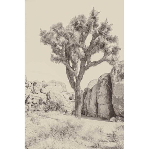 Joshua Tree IV Neutral Black Modern Wood Framed Art Print by Urquhart, Elizabeth