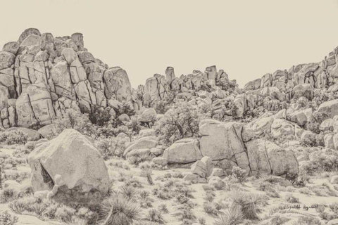 Joshua Tree V Neutral Black Ornate Wood Framed Art Print with Double Matting by Urquhart, Elizabeth