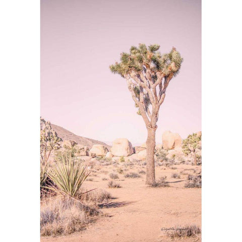 Joshua Tree III Blush Gold Ornate Wood Framed Art Print with Double Matting by Urquhart, Elizabeth