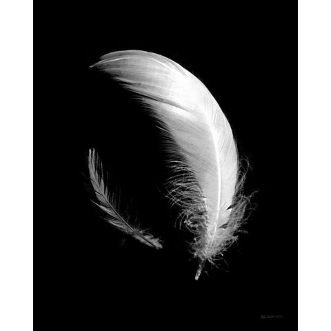Dream Feathers Gold Ornate Wood Framed Art Print with Double Matting by Goldstein, Ed