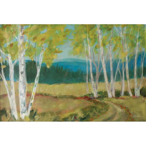 Birch Road Black Modern Wood Framed Art Print with Double Matting by Schlabach, Sue