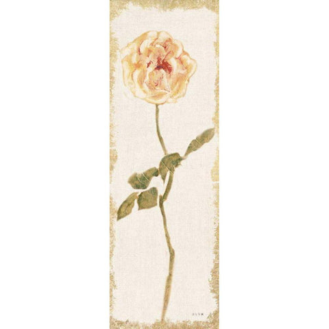 Pale Rose Panel Light Gold Ornate Wood Framed Art Print with Double Matting by Blum, Cheri