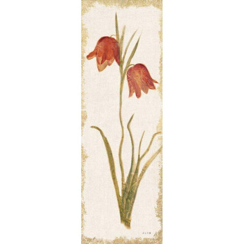 Red Tulip Panel Light Gold Ornate Wood Framed Art Print with Double Matting by Blum, Cheri