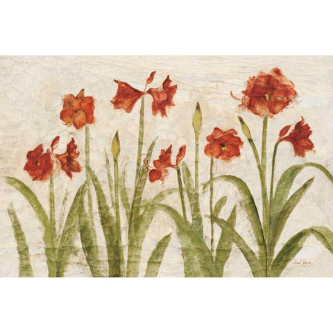 Row of Red Amaryllis Light White Modern Wood Framed Art Print by Blum, Cheri