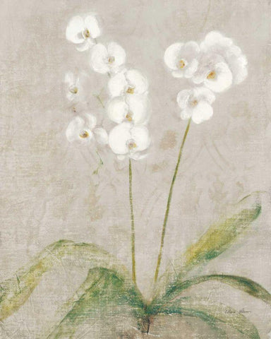 Orchid Light White Modern Wood Framed Art Print with Double Matting by Blum, Cheri