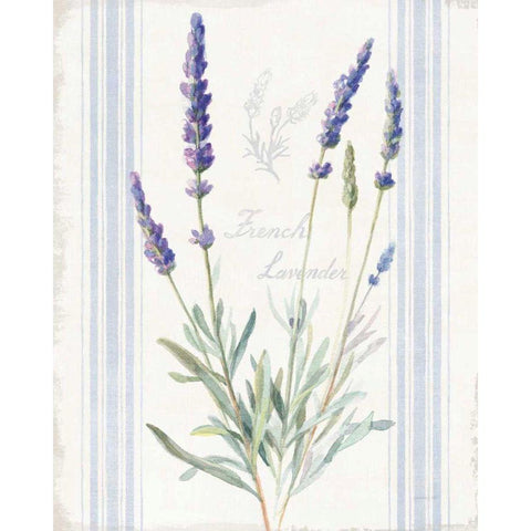 Floursack Lavender I Black Modern Wood Framed Art Print with Double Matting by Nai, Danhui