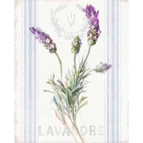 Floursack Lavender II Black Modern Wood Framed Art Print with Double Matting by Nai, Danhui