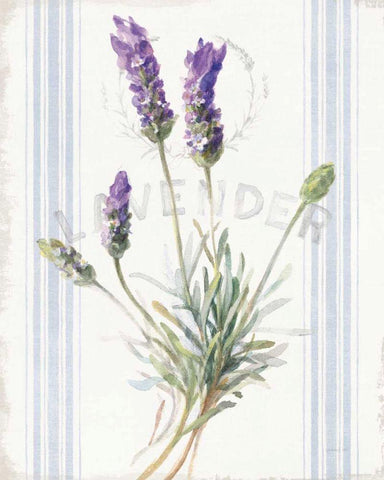 Floursack Lavender III White Modern Wood Framed Art Print with Double Matting by Nai, Danhui