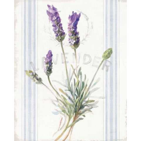 Floursack Lavender III White Modern Wood Framed Art Print by Nai, Danhui