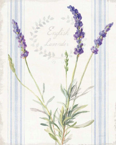 Floursack Lavender IV White Modern Wood Framed Art Print with Double Matting by Nai, Danhui