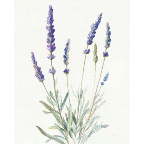 Floursack Lavender I on Linen Black Modern Wood Framed Art Print with Double Matting by Nai, Danhui