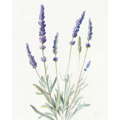 Floursack Lavender I on Linen Gold Ornate Wood Framed Art Print with Double Matting by Nai, Danhui