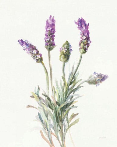 Floursack Lavender II on Linen White Modern Wood Framed Art Print with Double Matting by Nai, Danhui