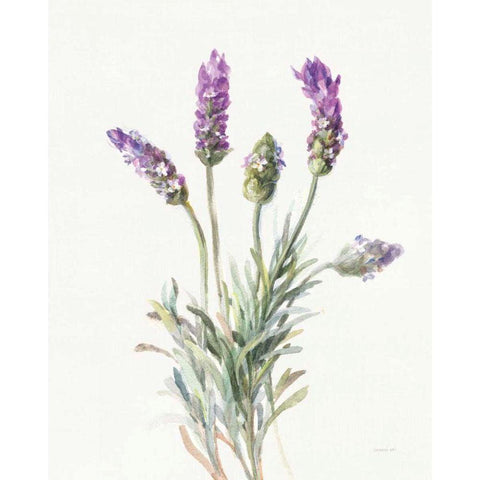 Floursack Lavender II on Linen Gold Ornate Wood Framed Art Print with Double Matting by Nai, Danhui