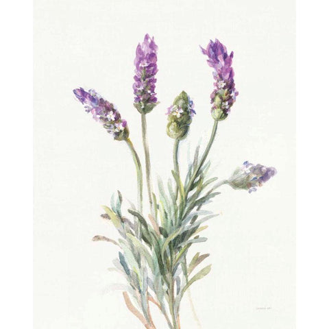 Floursack Lavender II on Linen White Modern Wood Framed Art Print by Nai, Danhui