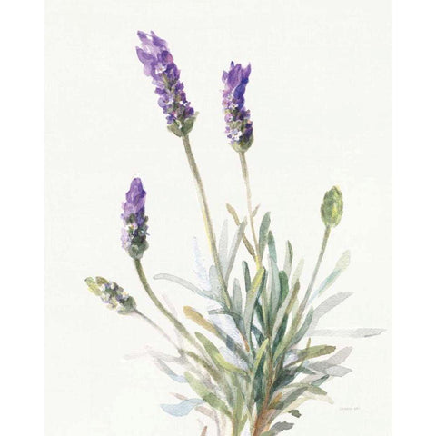 Floursack Lavender III on Linen White Modern Wood Framed Art Print by Nai, Danhui