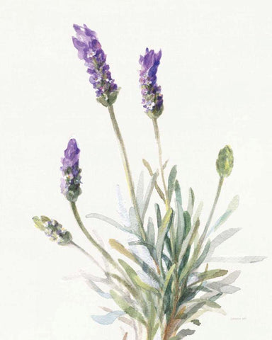 Floursack Lavender III on Linen White Modern Wood Framed Art Print with Double Matting by Nai, Danhui