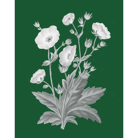 Green Botanical VI White Modern Wood Framed Art Print by Wild Apple Portfolio