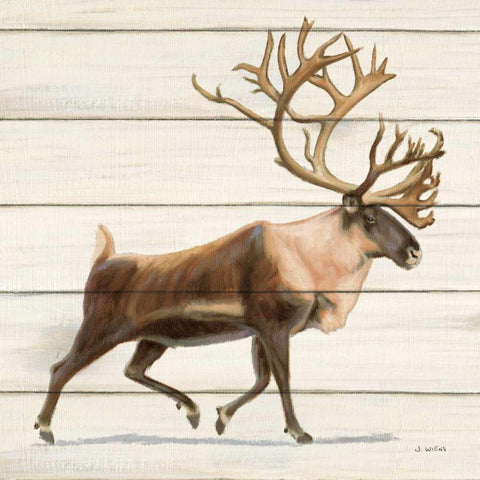 Northern Wild IV on Wood Gold Ornate Wood Framed Art Print with Double Matting by Wiens, James