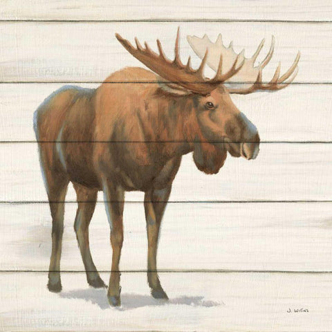 Northern Wild VI on Wood Black Ornate Wood Framed Art Print with Double Matting by Wiens, James