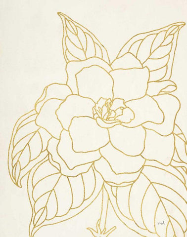 Gold Gardenia Line Drawing Crop White Modern Wood Framed Art Print with Double Matting by Hershey, Moira