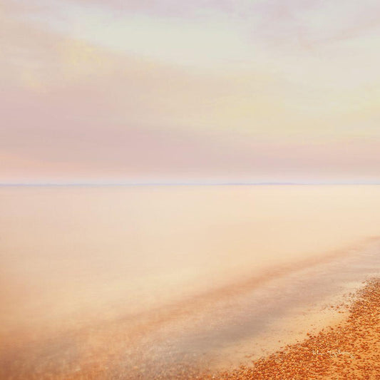 Image Only