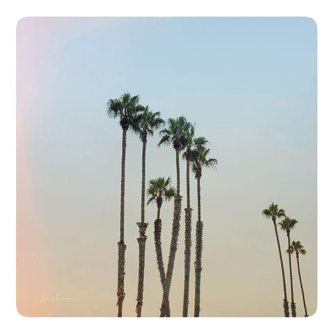 California Dreams II Pastel White Modern Wood Framed Art Print with Double Matting by Eichman, Andre