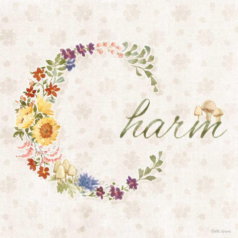 Cottage Charm XI Black Ornate Wood Framed Art Print with Double Matting by Grove, Beth