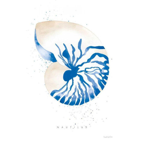 Nautilus White Modern Wood Framed Art Print by Charro, Mercedes Lopez