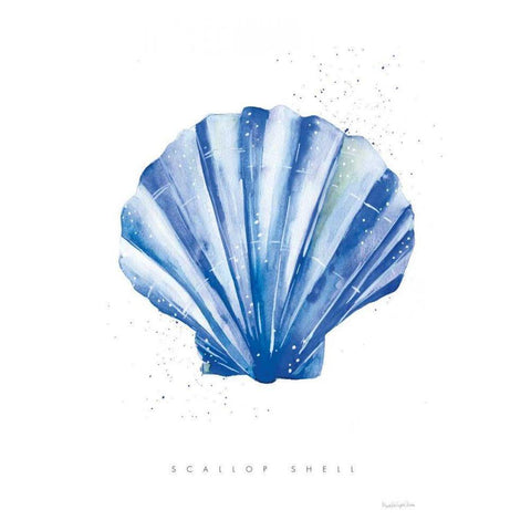 Scallop Shell White Modern Wood Framed Art Print by Charro, Mercedes Lopez