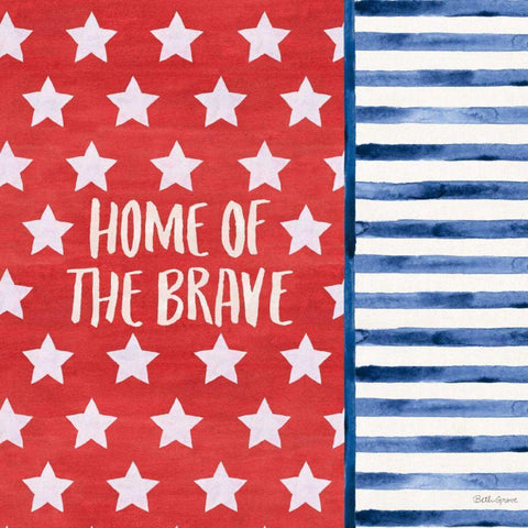 Americana Style VII White Modern Wood Framed Art Print by Grove, Beth