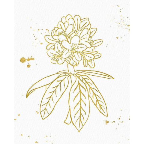 Gold Blooms II White Modern Wood Framed Art Print by Wild Apple Portfolio