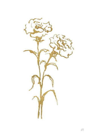 Gold Line Carnation II Black Ornate Wood Framed Art Print with Double Matting by Paschke, Chris