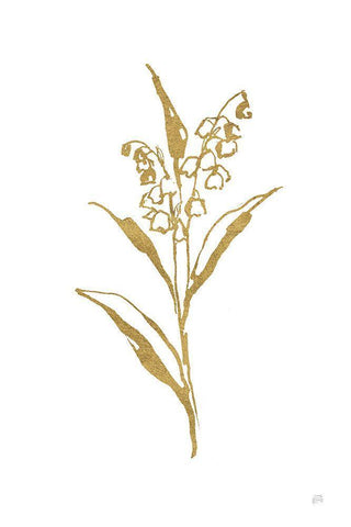Gold Line Lily of the Valley II White Modern Wood Framed Art Print with Double Matting by Paschke, Chris