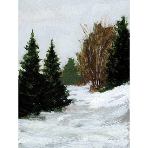 Winter on Grand Mesa White Modern Wood Framed Art Print by Munger, Pamela