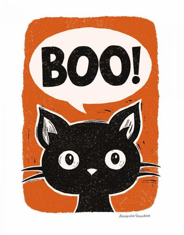 Boo Cat Black Ornate Wood Framed Art Print with Double Matting by Snowdon, Alexandra
