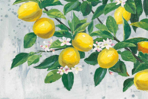 Zesty Lemons White Modern Wood Framed Art Print with Double Matting by Wiens, James