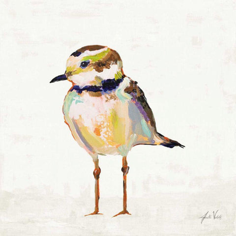 Coastal Plover II Linen Gold Ornate Wood Framed Art Print with Double Matting by Vertentes, Jeanette