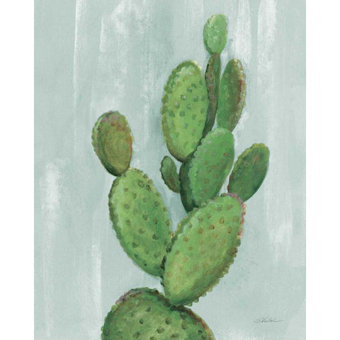 Front Yard Cactus I Slate Black Modern Wood Framed Art Print with Double Matting by Vassileva, Silvia